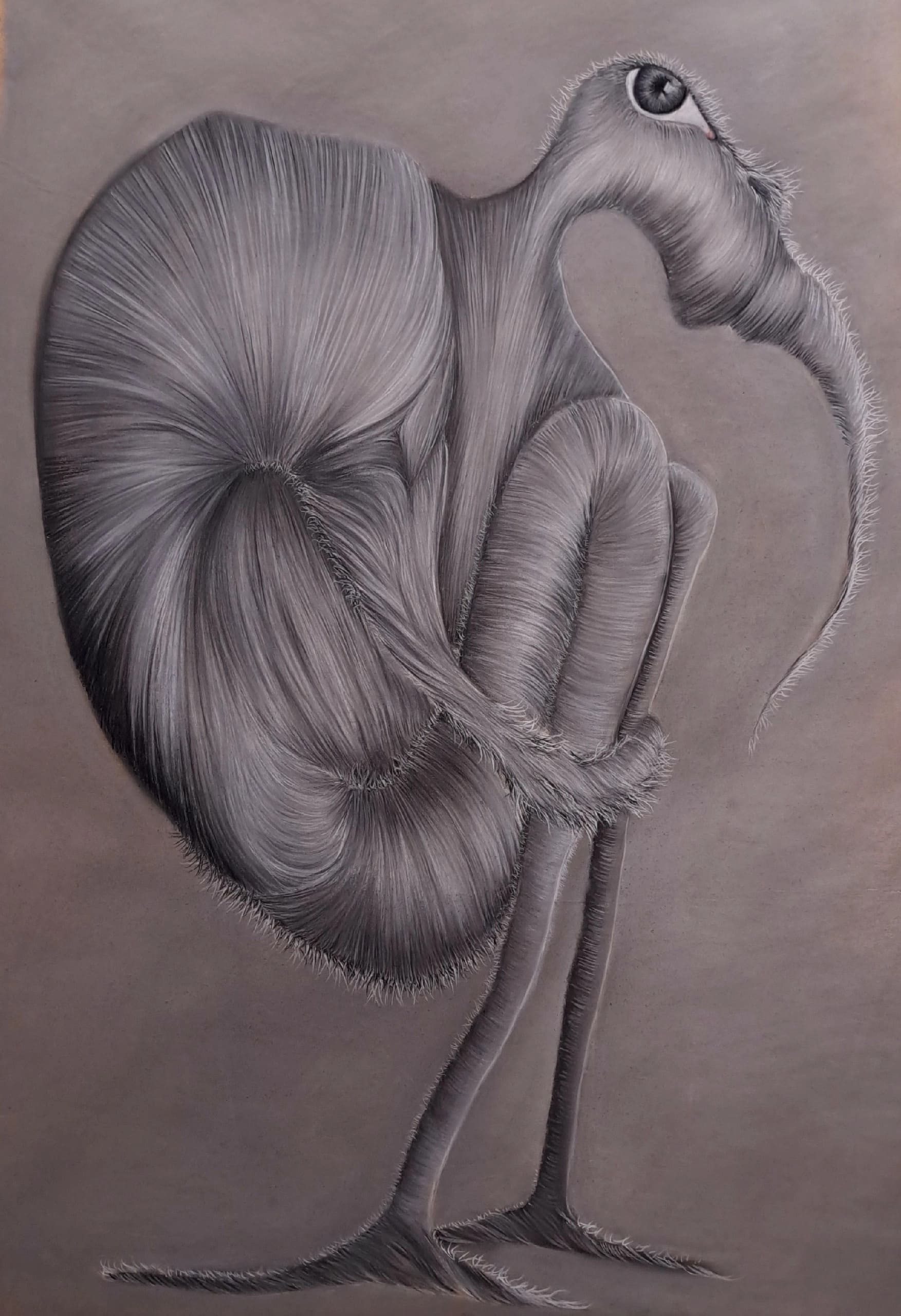 brandpopup__img__big