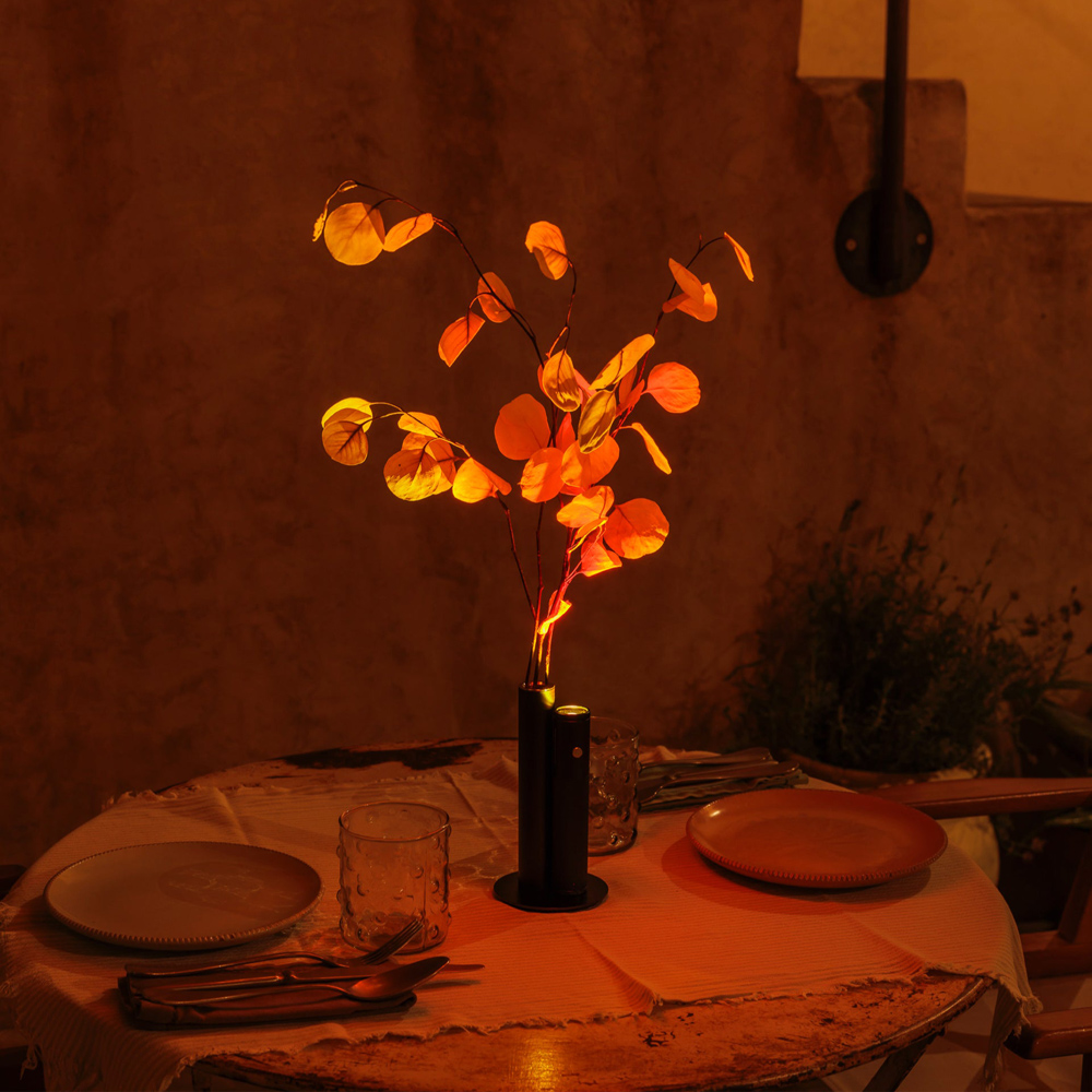 Настольная лампа Halo Mag Bloom 