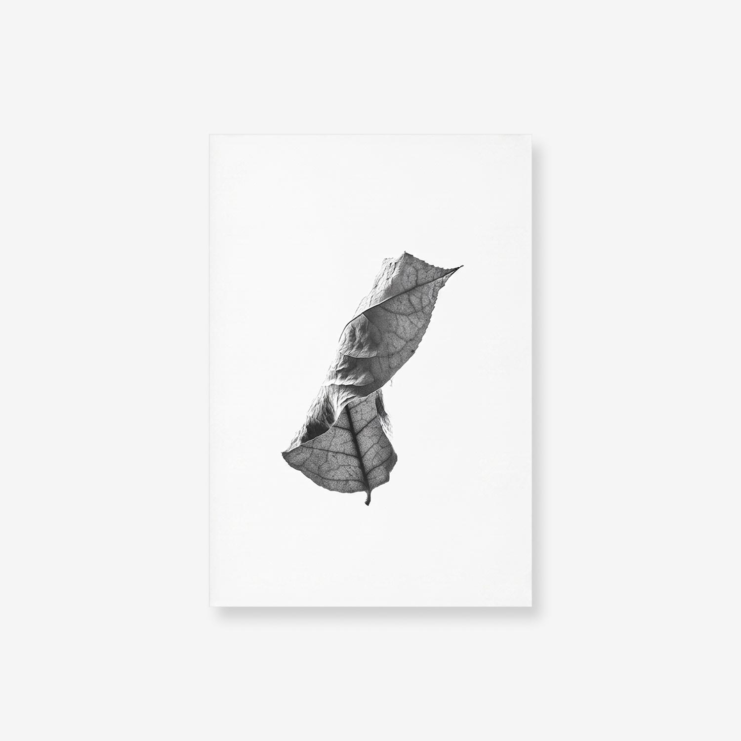 productslide