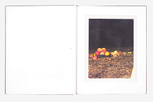 Книга August. Collier Schorr, MACK