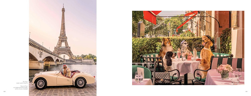 Книга Gray Malin. Dogs, Abrams Books