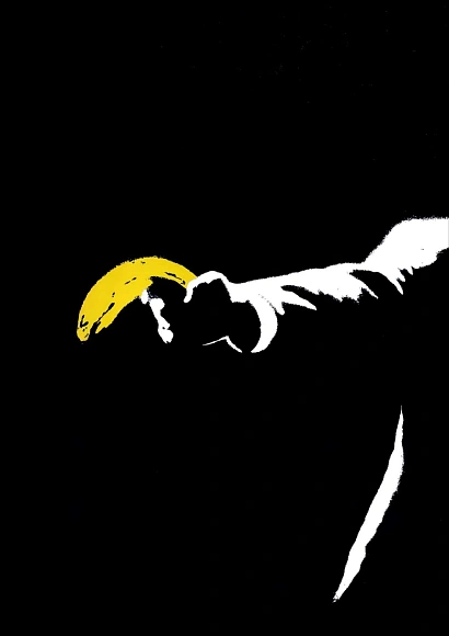 Книга Banksy Museum, Acc Art Books