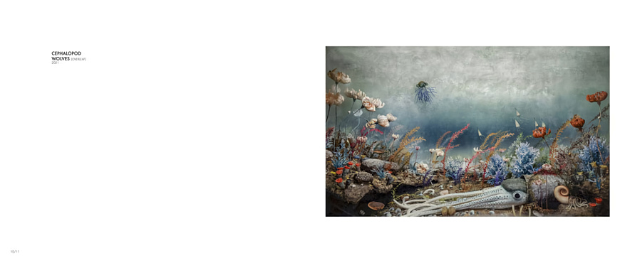 Книга Eremozoic by Jim Naughten, Hatje Cantz