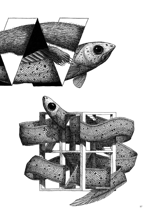 Книга The Art of Optical Illusion, Lannoo Publishers