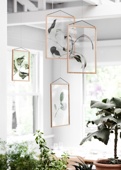 Постер на прозрачной подложке Floating Leaves, Moebe