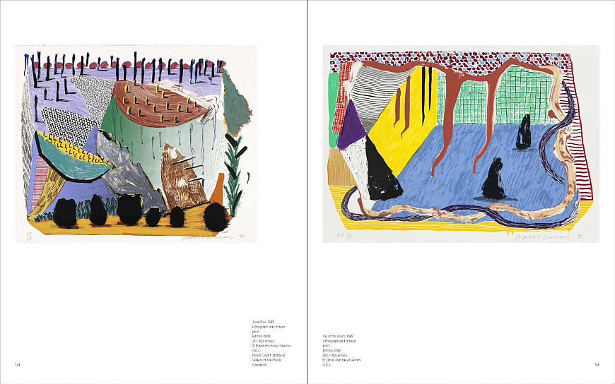 Книга David Hockney, Skira