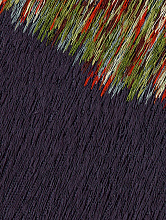 Обои Tranquillité attractive, Moustache