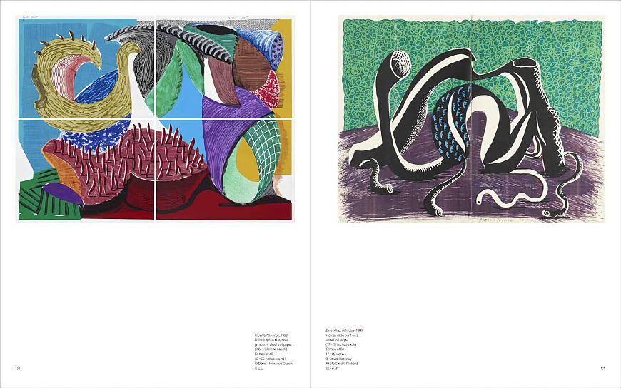 Книга David Hockney, Skira