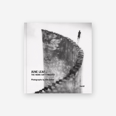 Книга June Leaf: The Work Isn't Finished Rizzoli