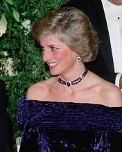 Книга Diana: A Life in Dresses, Acc Art Books