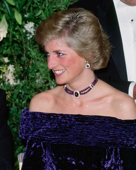 Книга Diana: A Life in Dresses, Acc Art Books