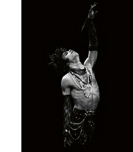 Книга Prince: Icon: The Definitive Photographic Collection, Acc Art Books