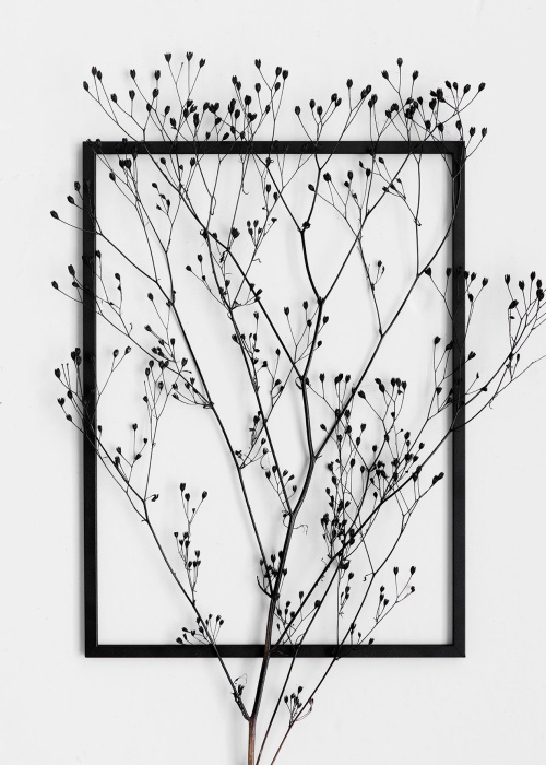 Рама Frame, Moebe
