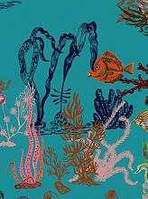 Обои Sous la mer, Moustache