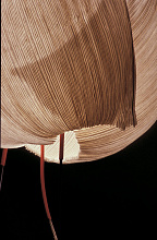 Настольный светильник Poul Poul LED, Ingo Maurer