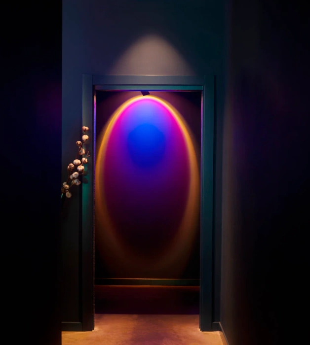 Потолочный светильник Halo Sky, Halo Edition