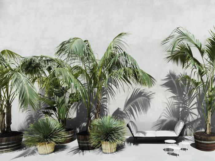 Уличная кушетка Daydream Outdoor, Living Divani