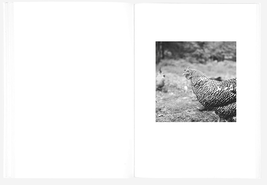 Книга The Shabbiness of Beauty, MACK