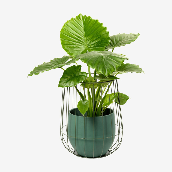 Кашпо Pot In A Cage, Serax