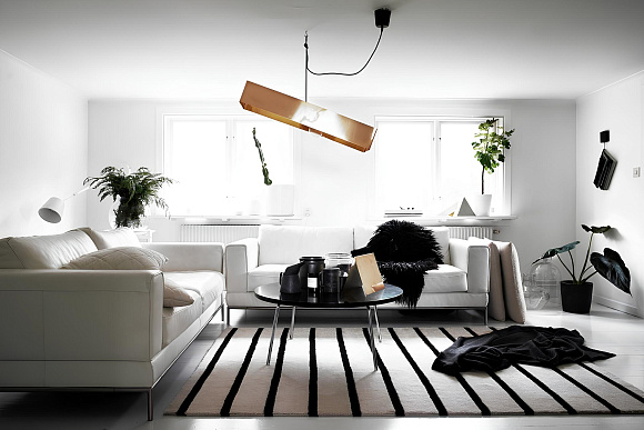 Книга Monochrome Home, Ryland Peters & Small and CICO Books