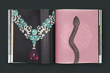 Книга Cartier: Nature Sauvage, Flammarion