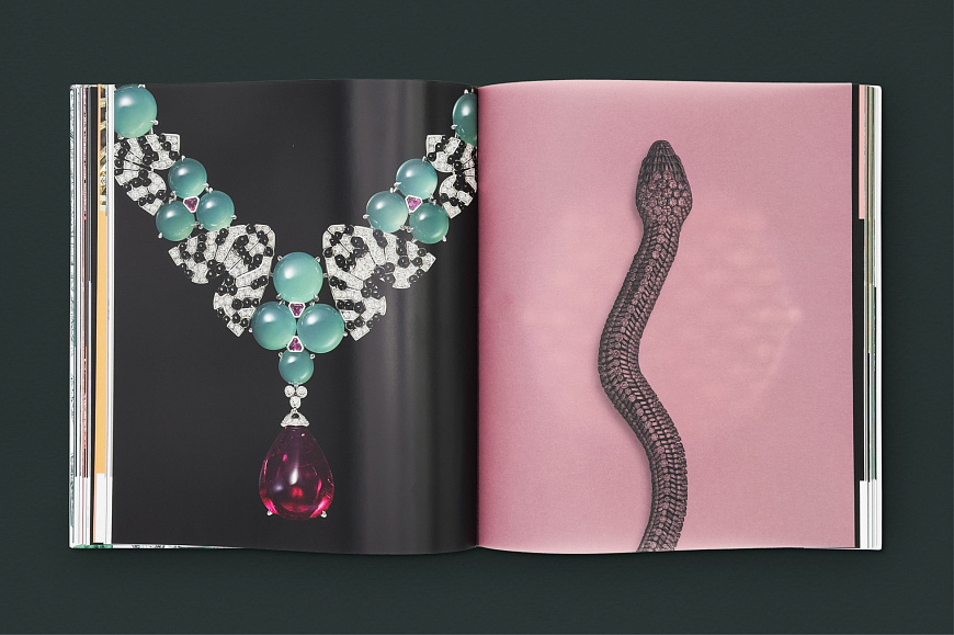 Книга Cartier: Nature Sauvage, Flammarion