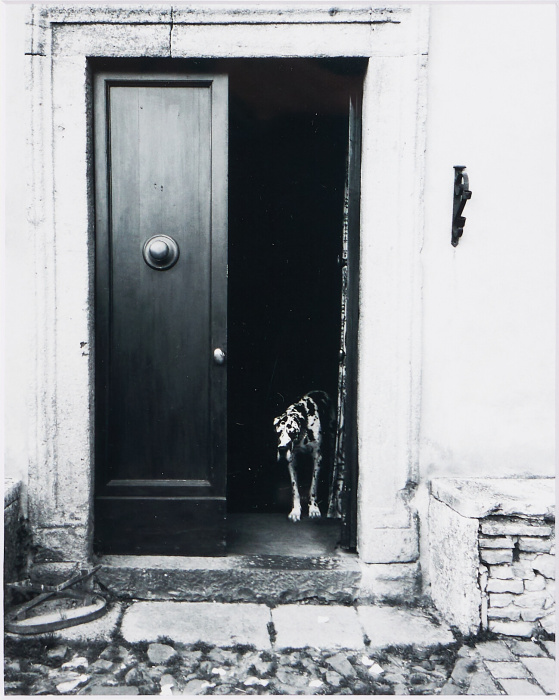 Постер Castello di Potentino, Toscana в раме, ten(10)posters