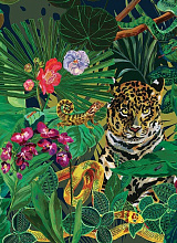 Обои Jungle Night, Moustache