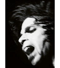 Книга Prince: Icon: The Definitive Photographic Collection, Acc Art Books