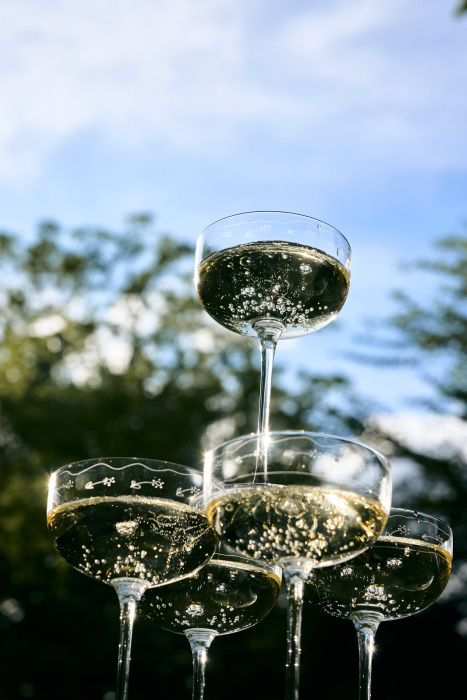 Набор из 4-х бокалов для шампанского Champagne Coupe Anemone Vaniglia Midnight Flowers by Marni, Serax