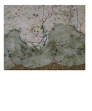 Книга Toshio Shibata: Japan, Prestel Publishing