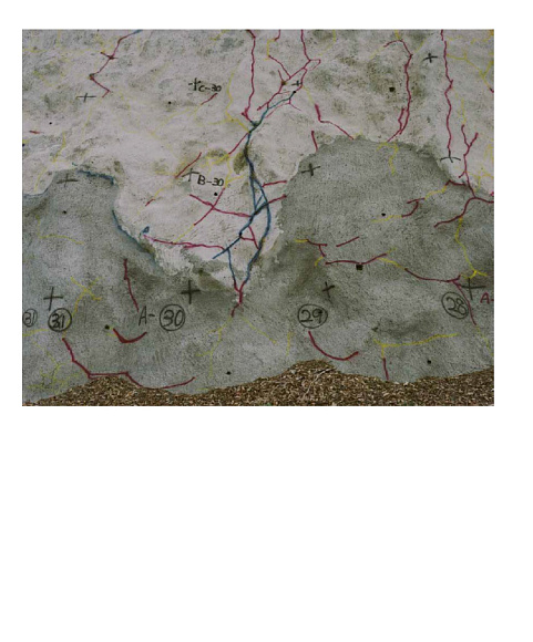 Книга Toshio Shibata: Japan, Prestel Publishing