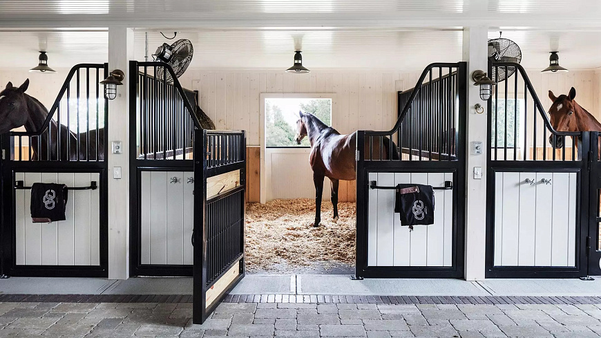 Книга Stables: High Design for Horse and Home, Rizzoli International Publications Inc.
