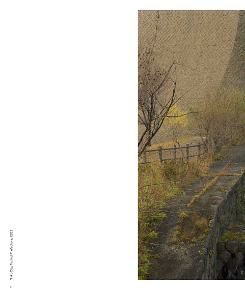 Книга Toshio Shibata: Japan, Prestel Publishing