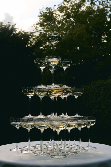 Набор из 4-х бокалов для шампанского Champagne Coupe Anemone Vaniglia Midnight Flowers by Marni, Serax