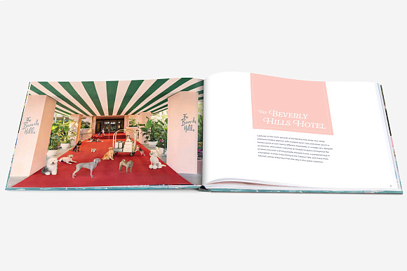 Книга Gray Malin. Dogs, Abrams Books