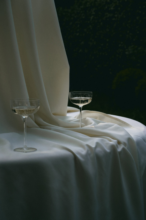 Набор из 4-х бокалов для шампанского Champagne Coupe Anemone Vaniglia Midnight Flowers by Marni, Serax