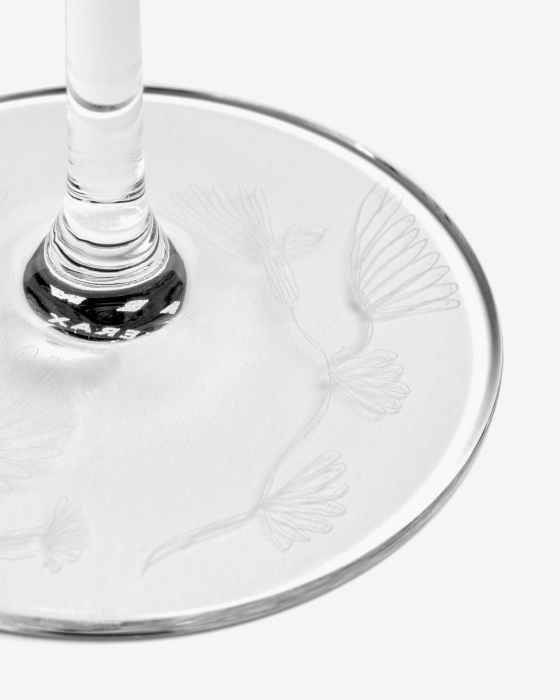 Набор из 4-х бокалов для шампанского Champagne Flute Camelia Aubergine Midnight Flowers by Marni, Serax