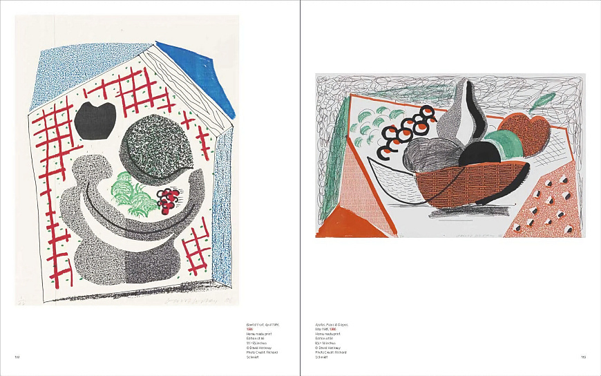 Книга David Hockney, Skira