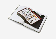 Книга The Beauty of Time Travel, Gestalten