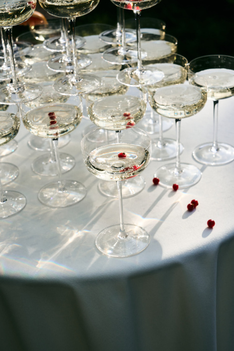 Набор из 4-х бокалов для шампанского Champagne Coupe Anemone Vaniglia Midnight Flowers by Marni, Serax