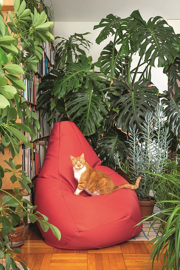 Кресло Sacco, Zanotta