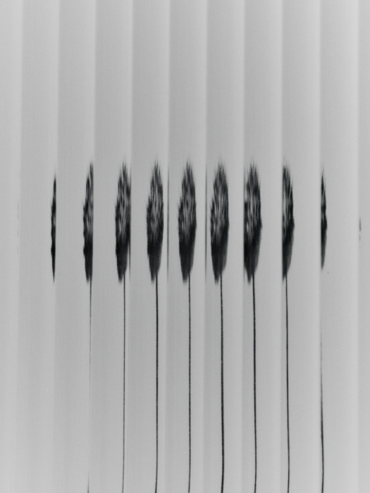 Навесная витрина Haze Wall Cabinet — Tall, Ferm Living