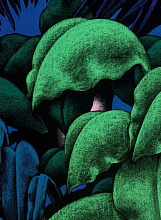 Обои Krabi, Moustache