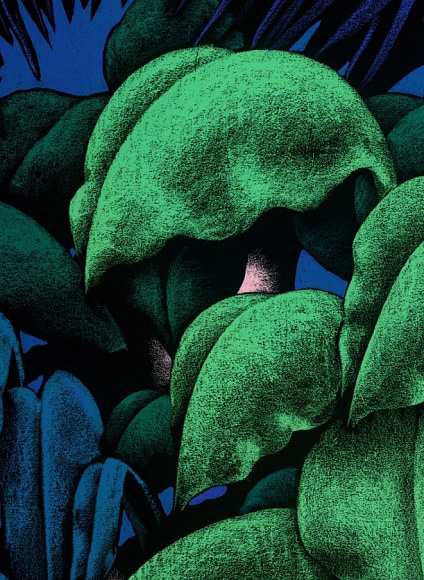 Обои Krabi, Moustache