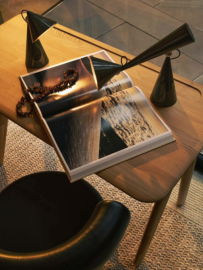 Настольная лампа Pose Portable Kelp, Tom Dixon