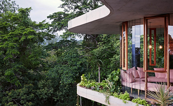 Книга The New Queensland Home, Thames & Hudson