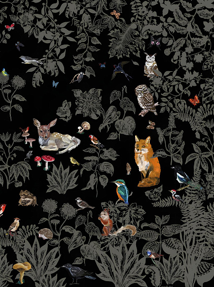 Обои Fôret Noire, Moustache