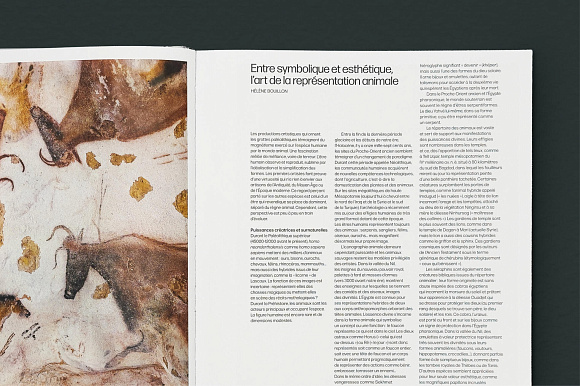 Книга Cartier: Nature Sauvage, Flammarion