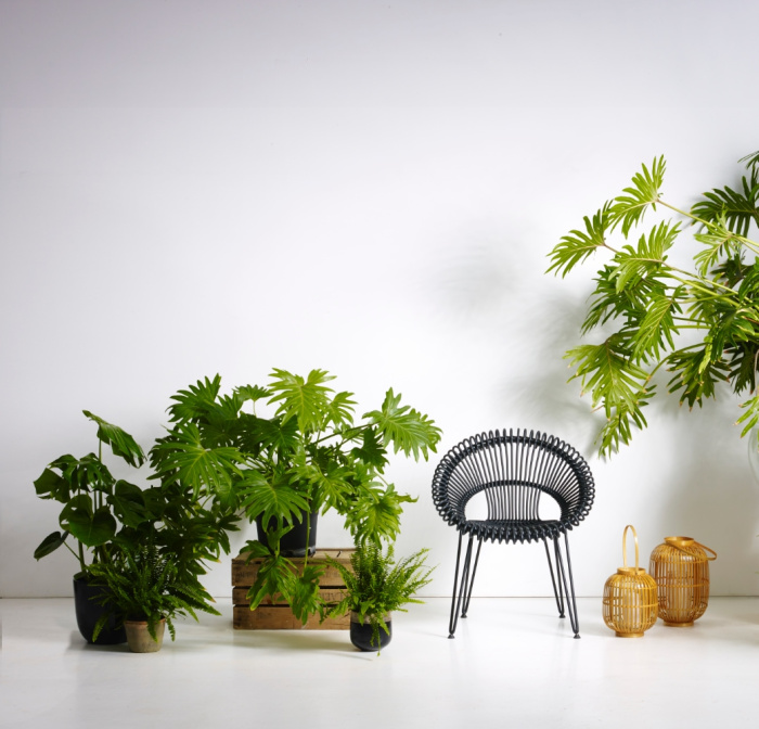 Уличный стул Roxy Dining Chair, Vincent Sheppard